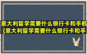 意大利留学需要什么银行卡和手机(意大利留学需要什么银行卡和手续费)