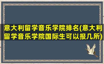 意大利留学音乐学院排名(意大利留学音乐学院国际生可以报几所)