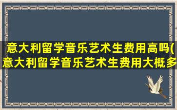 意大利留学音乐艺术生费用高吗(意大利留学音乐艺术生费用大概多少)