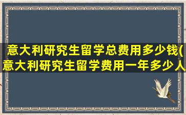 意大利研究生留学总费用多少钱(意大利研究生留学费用一年多少人民币)