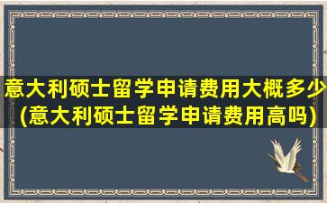 意大利硕士留学申请费用大概多少(意大利硕士留学申请费用高吗)