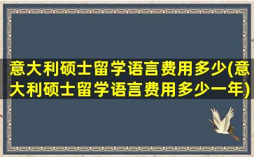 意大利硕士留学语言费用多少(意大利硕士留学语言费用多少一年)