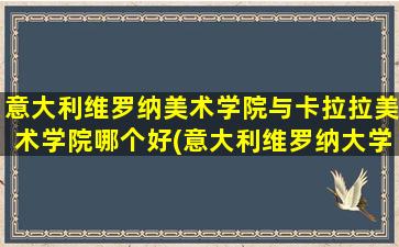 意大利维罗纳美术学院与卡拉拉美术学院哪个好(意大利维罗纳大学)