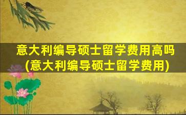 意大利编导硕士留学费用高吗(意大利编导硕士留学费用)