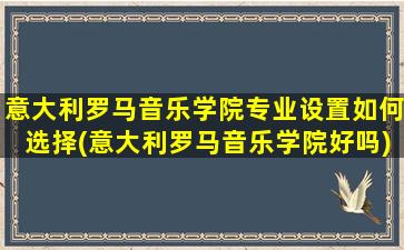 意大利罗马音乐学院专业设置如何选择(意大利罗马音乐学院好吗)