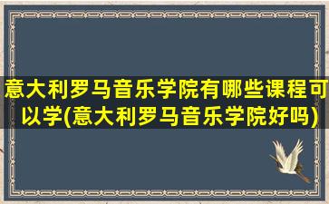 意大利罗马音乐学院有哪些课程可以学(意大利罗马音乐学院好吗)