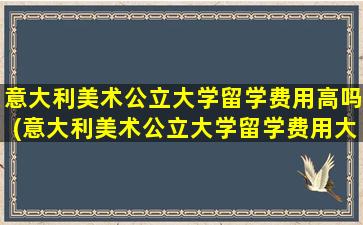 意大利美术公立大学留学费用高吗(意大利美术公立大学留学费用大概多少)