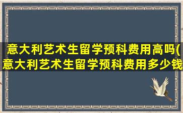 意大利艺术生留学预科费用高吗(意大利艺术生留学预科费用多少钱)