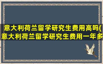 意大利荷兰留学研究生费用高吗(意大利荷兰留学研究生费用一年多少)