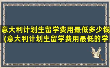 意大利计划生留学费用最低多少钱(意大利计划生留学费用最低的学校)