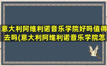 意大利阿维利诺音乐学院好吗值得去吗(意大利阿维利诺音乐学院怎么样)