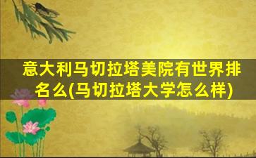 意大利马切拉塔美院有世界排名么(马切拉塔大学怎么样)