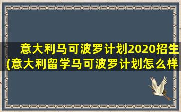 意大利马可波罗计划2020招生(意大利留学马可波罗计划怎么样)