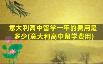 意大利高中留学一年的费用是多少(意大利高中留学费用)