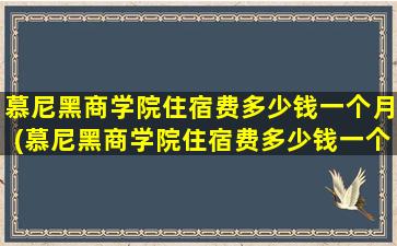 慕尼黑商学院住宿费多少钱一个月(慕尼黑商学院住宿费多少钱一个月)