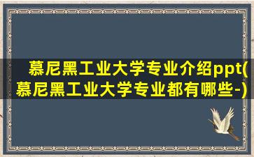 慕尼黑工业大学专业介绍ppt(慕尼黑工业大学专业都有哪些-)