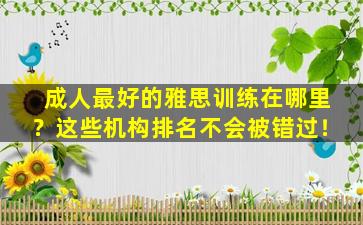 成人最好的雅思训练在哪里？这些机构排名不会被错过！