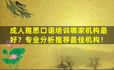 成人雅思口语培训哪家机构最好？专业分析推荐最佳机构！