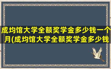 成均馆大学全额奖学金多少钱一个月(成均馆大学全额奖学金多少钱啊)