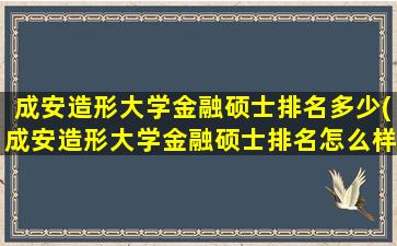 成安造形大学金融硕士排名多少(成安造形大学金融硕士排名怎么样)