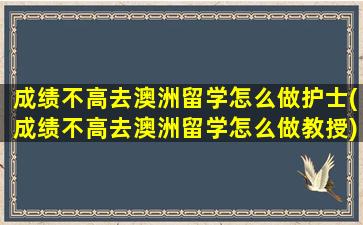 成绩不高去澳洲留学怎么做护士(成绩不高去澳洲留学怎么做教授)