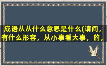 成语从从什么意思是什么(请问，有什么形容，从小事看大事，的，成语或俗语么)