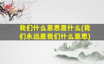 我们什么意思是什么(我们永远是我们什么意思)