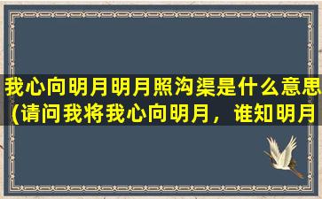 我心向明月明月照沟渠是什么意思(请问我将我心向明月，谁知明月照沟渠是什么意思)