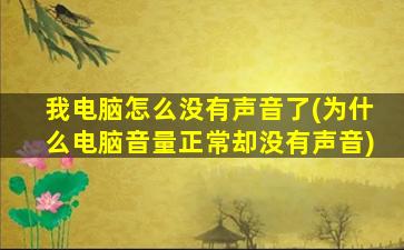 我电脑怎么没有声音了(为什么电脑音量正常却没有声音)