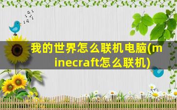 我的世界怎么联机电脑(minecraft怎么联机)