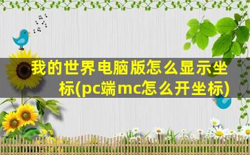 我的世界电脑版怎么显示坐标(pc端mc怎么开坐标)