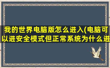 我的世界电脑版怎么进入(电脑可以进安全模式但正常系统为什么进不去)