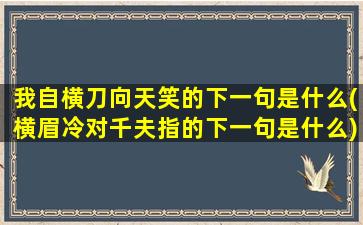 我自横刀向天笑的下一句是什么(横眉冷对千夫指的下一句是什么)