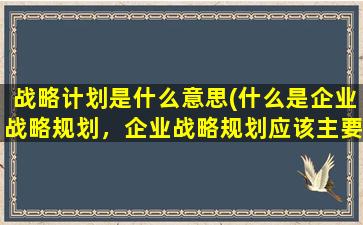 战略计划是什么意思(什么是企业战略规划，企业战略规划应该主要解决那些问题)