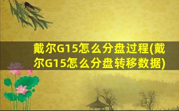 戴尔G15怎么分盘过程(戴尔G15怎么分盘转移数据)