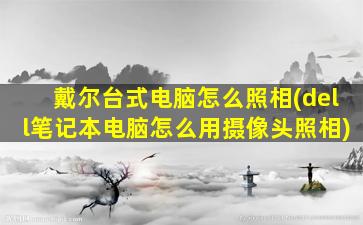 戴尔台式电脑怎么照相(dell笔记本电脑怎么用摄像头照相)