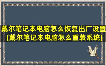 戴尔笔记本电脑怎么恢复出厂设置(戴尔笔记本电脑怎么重装系统)