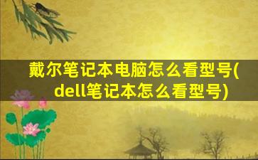 戴尔笔记本电脑怎么看型号(dell笔记本怎么看型号)