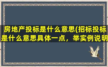 房地产投标是什么意思(招标投标是什么意思具体一点，举实例说明，比如房地产，谢谢)