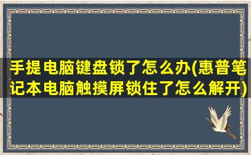 手提电脑键盘锁了怎么办(惠普笔记本电脑触摸屏锁住了怎么解开)