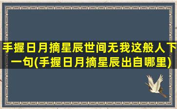 手握日月摘星辰世间无我这般人下一句(手握日月摘星辰出自哪里)