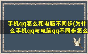 手机qq怎么和电脑不同步(为什么手机qq与电脑qq不同步怎么办)