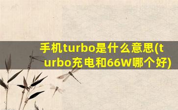 手机turbo是什么意思(turbo充电和66W哪个好)