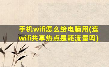 手机wifi怎么给电脑用(连wifi共享热点是耗流量吗)