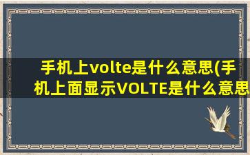 手机上volte是什么意思(手机上面显示VOLTE是什么意思)