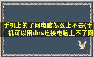 手机上的了网电脑怎么上不去(手机可以用dns连接电脑上不了网)