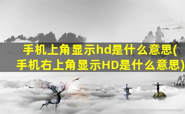 手机上角显示hd是什么意思(手机右上角显示HD是什么意思)