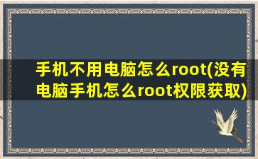 手机不用电脑怎么root(没有电脑手机怎么root权限获取)