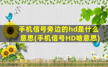 手机信号旁边的hd是什么意思(手机信号HD啥意思)