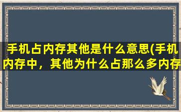 手机占内存其他是什么意思(手机内存中，其他为什么占那么多内存)